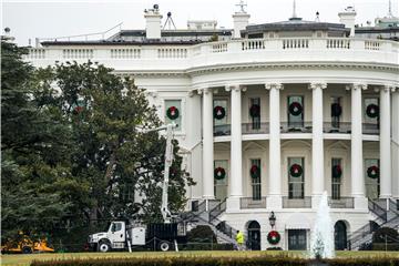 USA WHITE HOUSE TREE