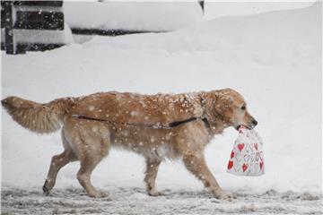 GERMANY WEATHER SNOW