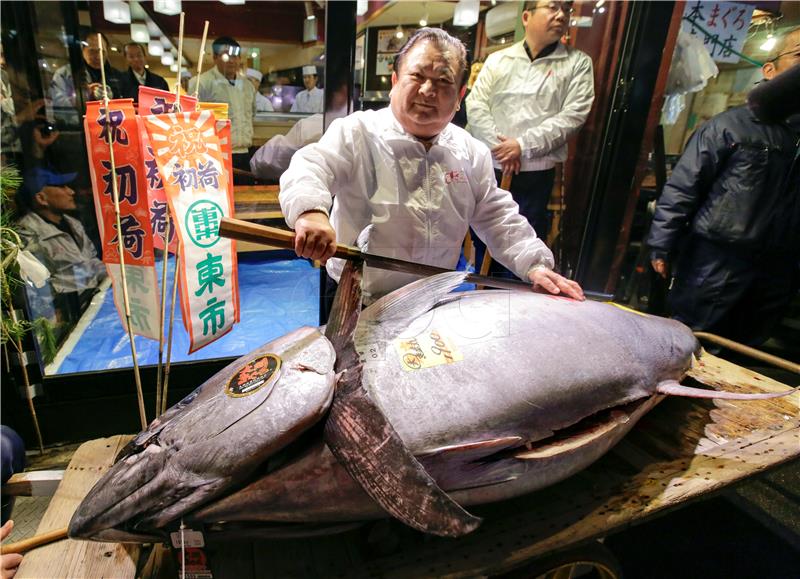 JAPAN TSUKIJI TUNA AUCTION