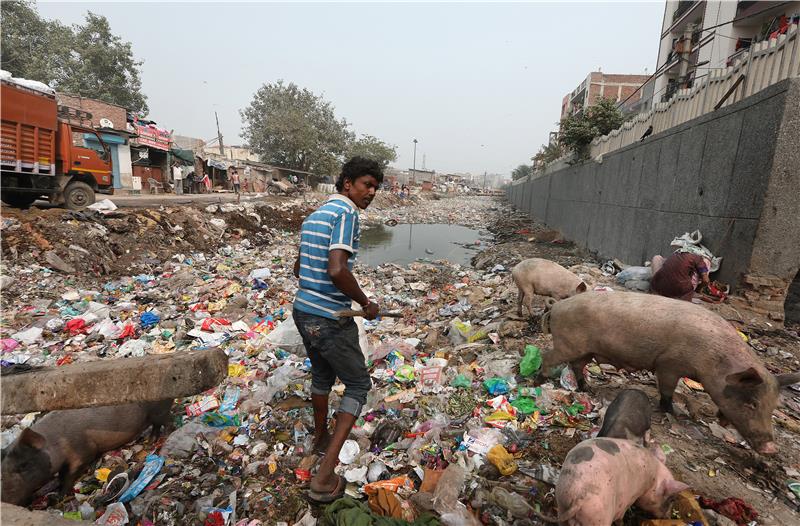 INDIA PHOTO ESSAY YAMUNA RIVER POLLUTION