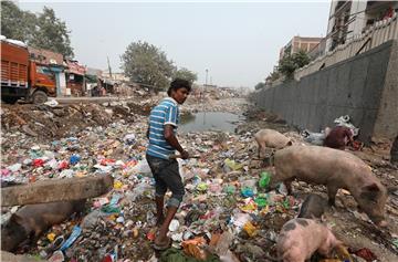 INDIA PHOTO ESSAY YAMUNA RIVER POLLUTION