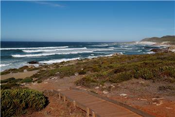 SOUTH AFRICA CAPE POINT