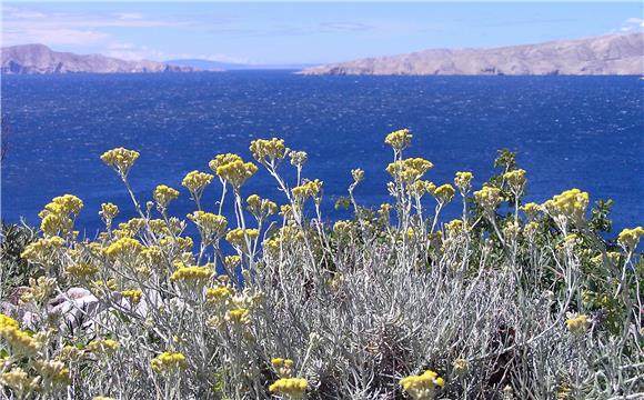 Međunarodna znanstvena monografija o mediteranskim identitetima