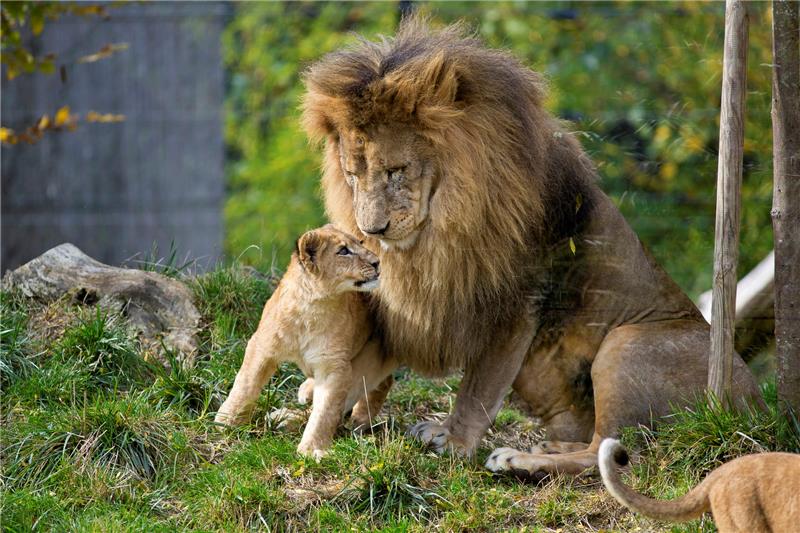 "Egzotična zima u Zoo vrtu" - edukativni programi u zagrebačkom Zoološkom vrtu