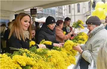 Uz Dan mimoza: Intimno zdravlje žene krhko je poput cvijeta