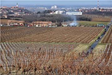 Ilok: Blagoslovljeni vinogradi u povodu blagdana sv. Vinka