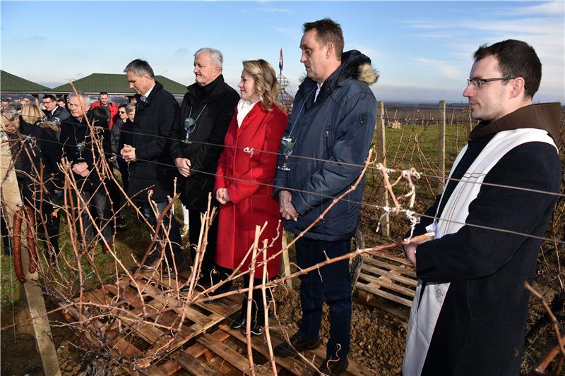 Ilok: Blagoslovljeni vinogradi povodom blagdana sv. Vinka