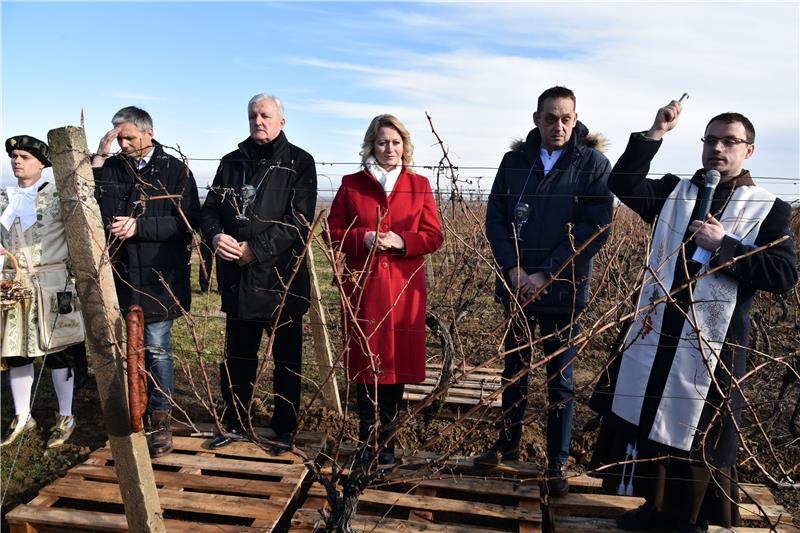 Ilok: Blagoslovljeni vinogradi povodom blagdana sv. Vinka