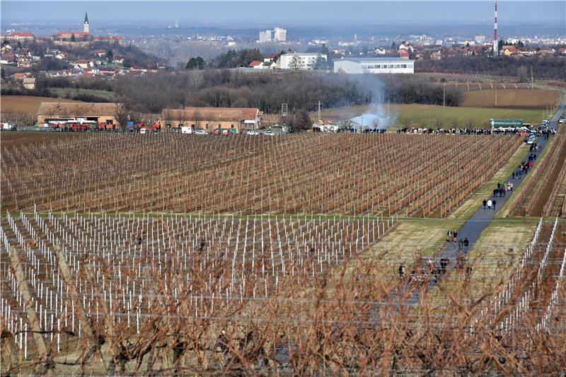 Ilok: Blagoslovljeni vinogradi povodom blagdana sv. Vinka