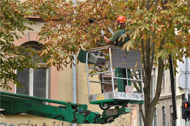 Našice: Pao s drveta i poginuo