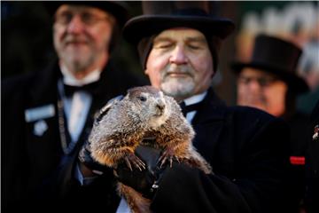 USA GROUNDHOG DAY