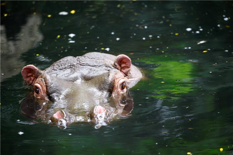 U zagrebačkom ZOO-u u nedjelju edukativni program o vodi