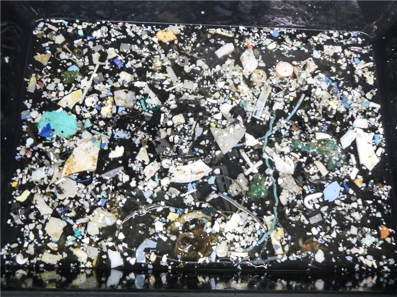 AT SEA POLLUTION GREAT PACIFIC GARBAGE PATCH