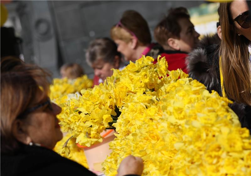 Pula: Još jedna uspješna humanitarna akcija "Dan narcisa"