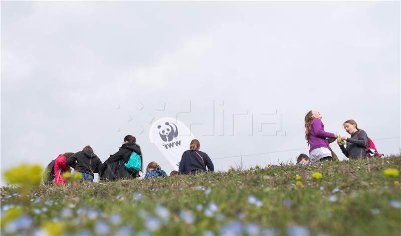 WWF, udruge, veslači i izviđači pozvali građane da večeras u 20,30 sati ugase svjetla za "Sat za planet Zemlju"