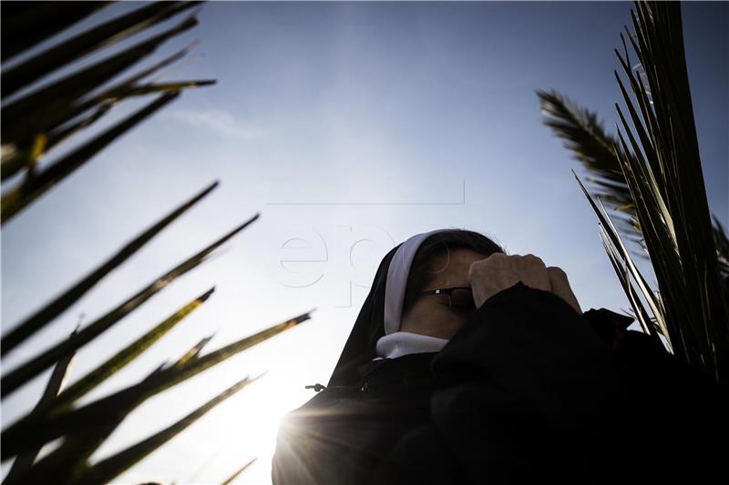 VATICAN PALM SUNDAY