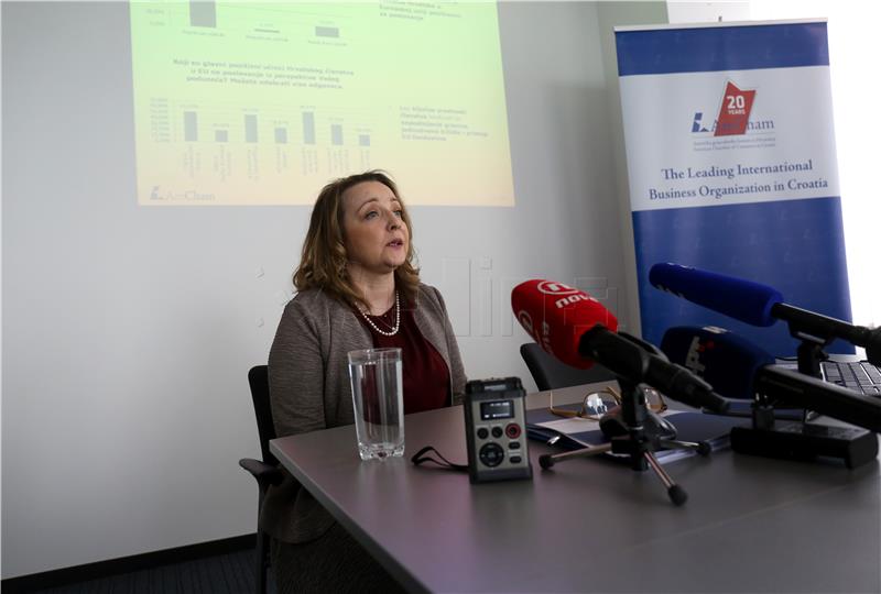 AmCham Croatia says 65% of companies report improved business results in 2017