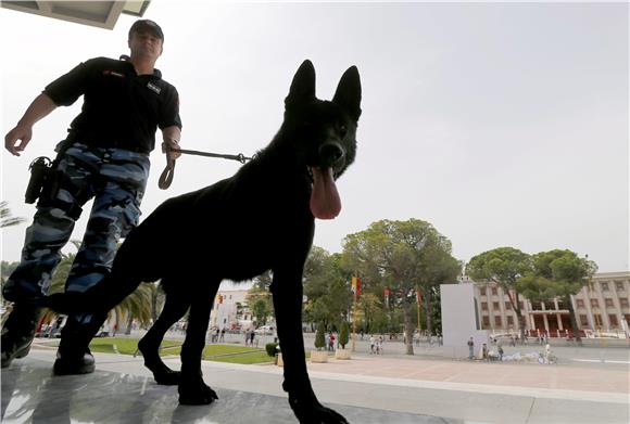 Glazbenom terapijom protiv anksioznosti policijskih pasa grada Madrida