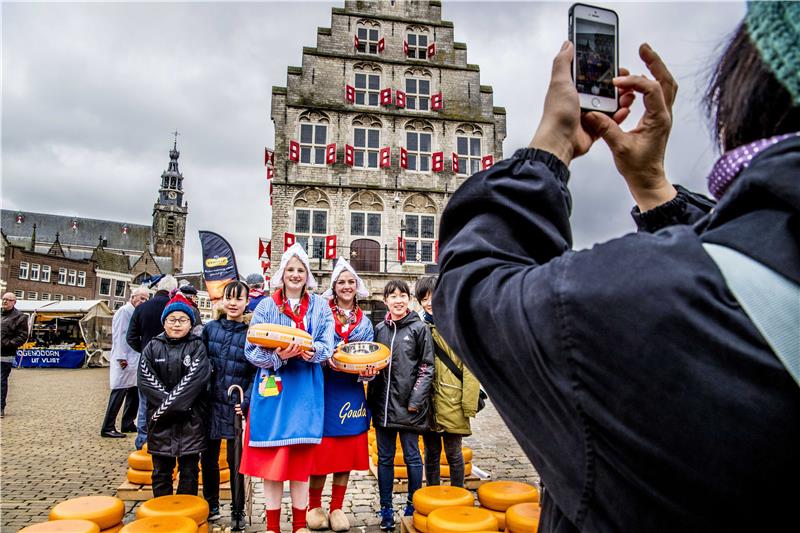 NETHERLANDS CHEESE MARKET