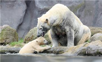 GERMANY ANIMALS