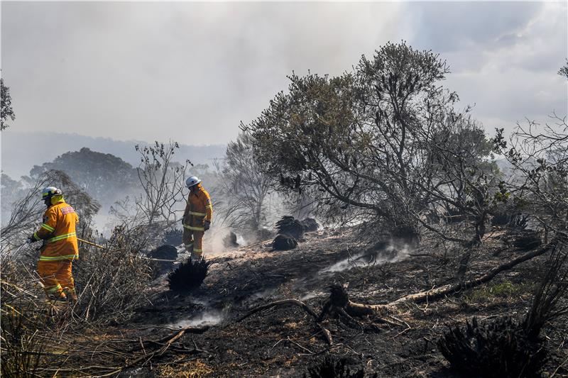 AUSTRALIA BUSHFIRE SYDNEY