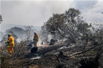 AUSTRALIA BUSHFIRE SYDNEY