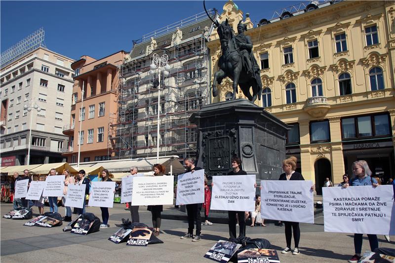 Performans "Ili žmiriš, ili si za kastraciju"