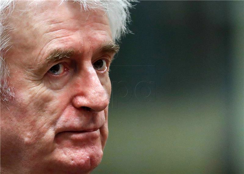 Karadzic: War in Bosnia everyone's fault but the Serbs'