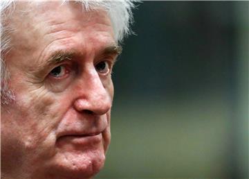 Karadzic: War in Bosnia everyone's fault but the Serbs'