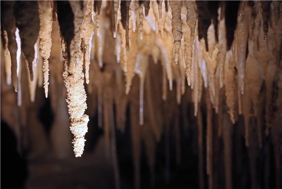 Cadastre includes 1,200 caves and pits in Croatia