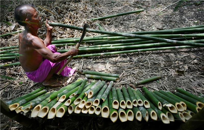 INDIA TRIBAL RITUALS