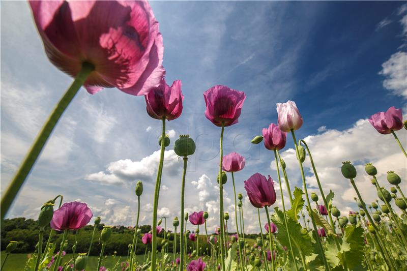 HUNGARY NATURE