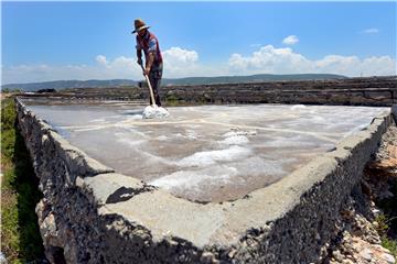 LEBANON AGRICULTURE SALT