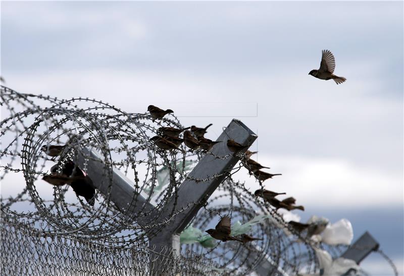 Cooperation with Croatia on migration good but barbed wire stays, Slovenia minister says