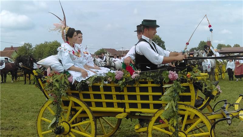 Tradicijska priredbi "Konji bjelci" u Babinoj Gredi