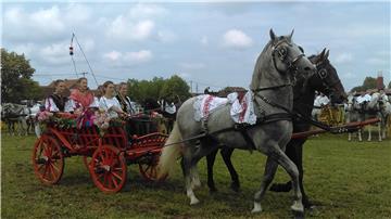 Tradicijska priredbi "Konji bjelci" u Babinoj Gredi