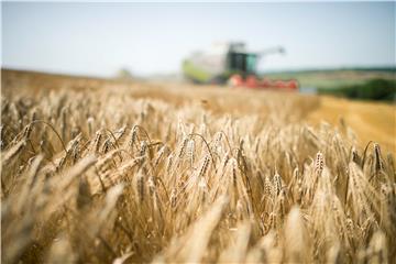 HUNGARY HARVEST AGRICULTURE