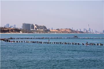 ISRAEL GAS PIPELINE SURFING PROTEST