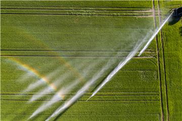 SWITZERLAND AGIRCULTURE RICE CULTIVATION