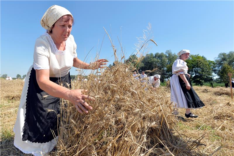 U Županji uprizoreni stari žetveni običaji