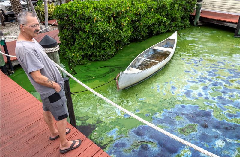 USA FLORIDA BLUE GREEN ALGAE