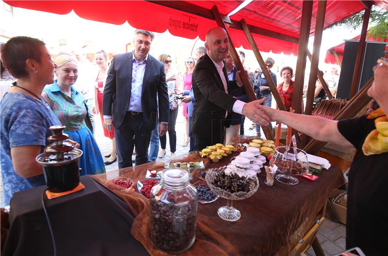 Premijer Plenković na manifestaciji "Naše domaće, sada i ubuduće"