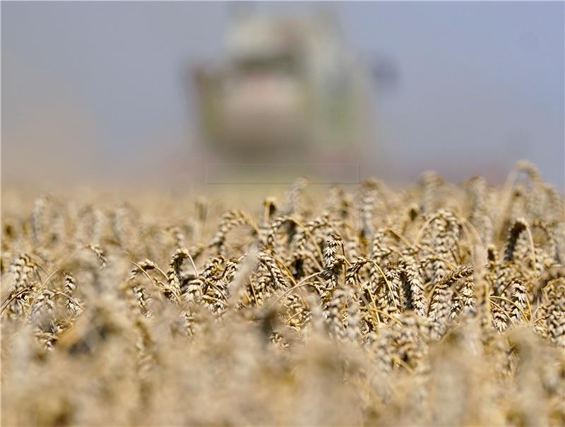 GERMANY WEATHER AGRICULTURE DROUGHT