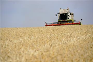 GERMANY WEATHER AGRICULTURE DROUGHT