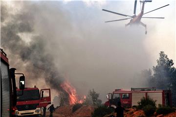 GREECE WILDFIRE