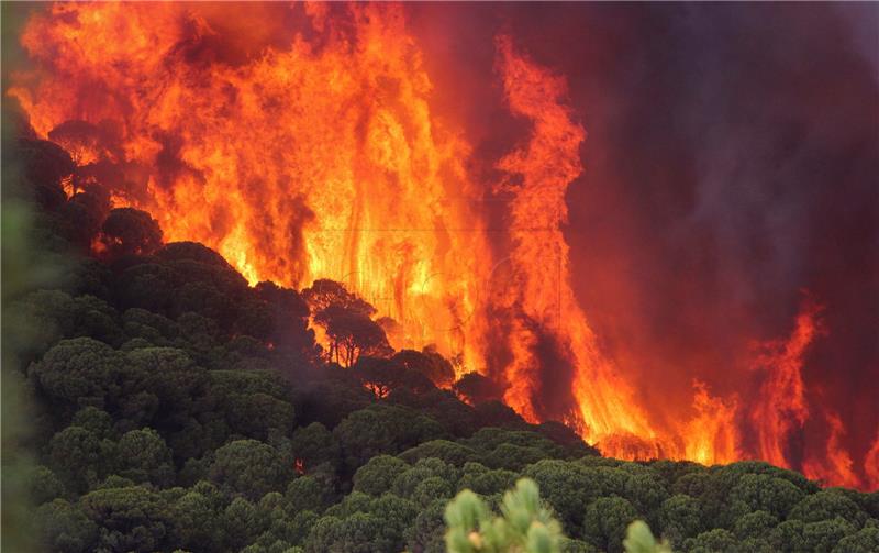 SPAIN WILDFIRES