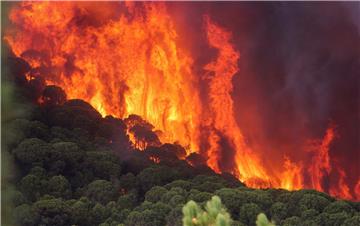 SPAIN WILDFIRES