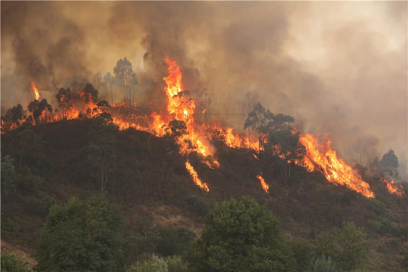 PORTUGAL WILDFIRE