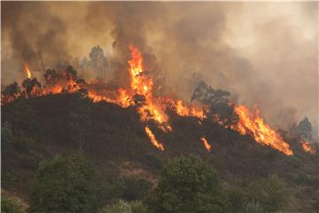 PORTUGAL WILDFIRE