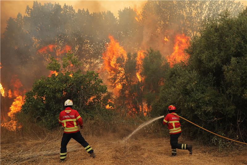 PORTUGAL WILDFIRE